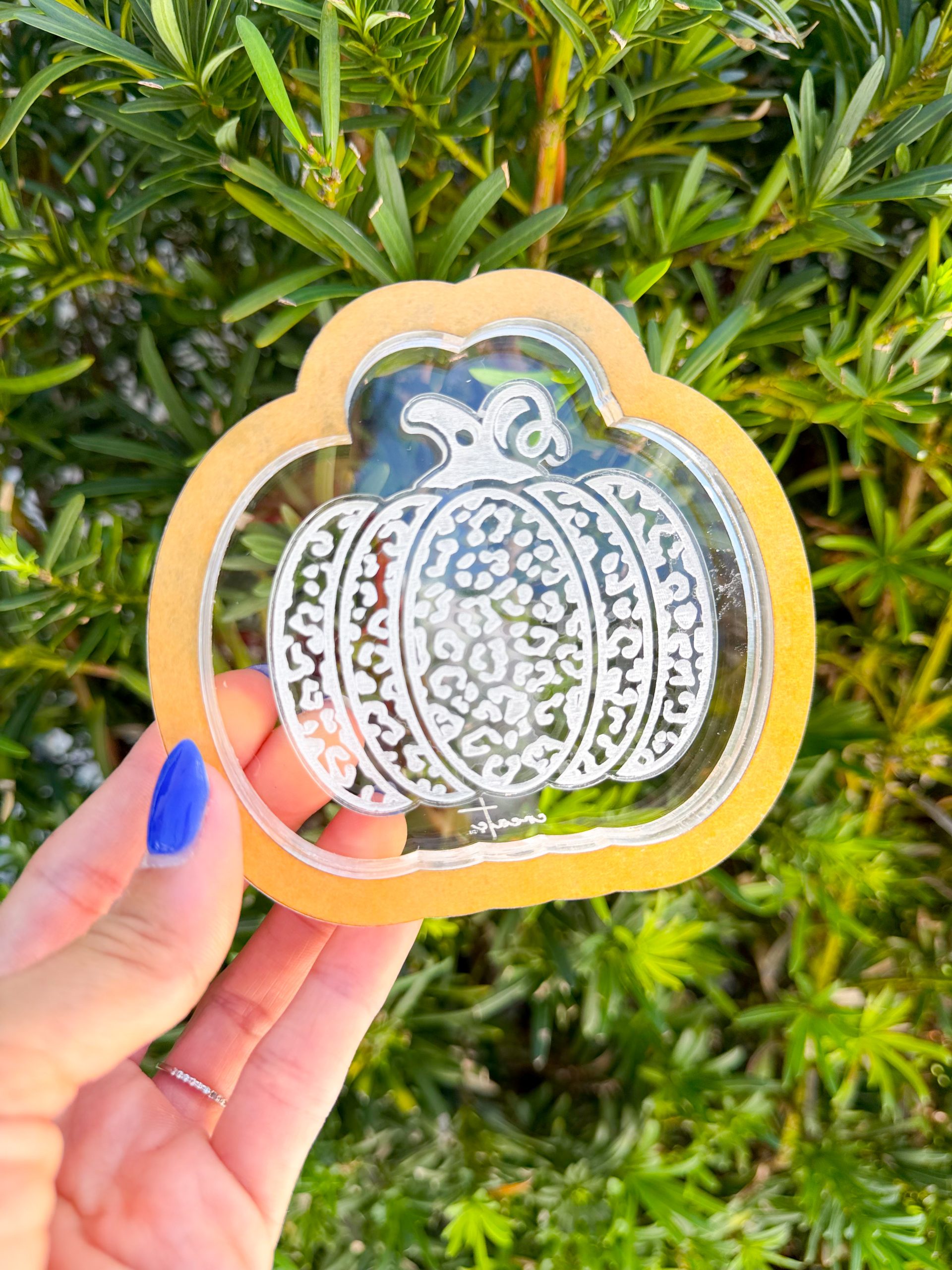 Leopard Pumpkin Silicone Mold Housing